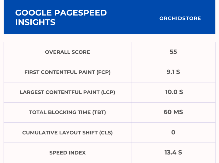 Orchid Store Google Pagespeed Insights Score