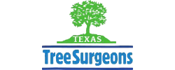 texas tree surgeon