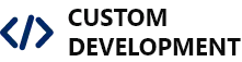 Custom Website Development